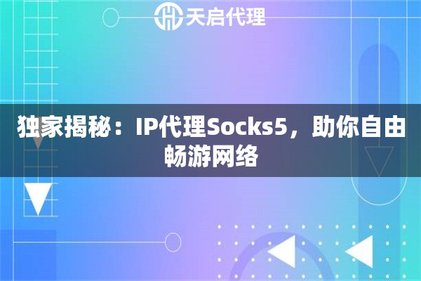 獨(dú)家揭秘：IP代理Socks5，助你自由暢游網(wǎng)絡(luò)