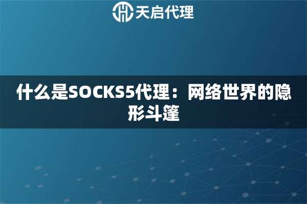 什么是SOCKS5代理：網絡世界的隱形斗篷