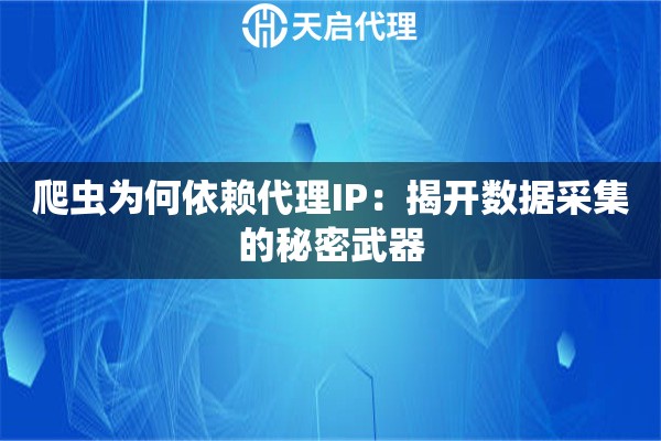 爬蟲為何依賴代理IP：揭開數據采集的秘密武器
