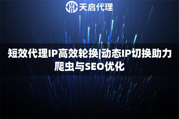 短效代理IP高效輪換|動(dòng)態(tài)IP切換助力爬蟲(chóng)與SEO優(yōu)化