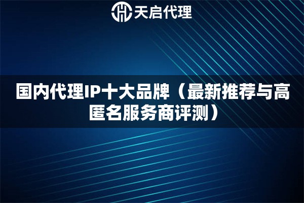 國(guó)內(nèi)代理IP十大品牌（最新推薦與高匿名服務(wù)商評(píng)測(cè)）