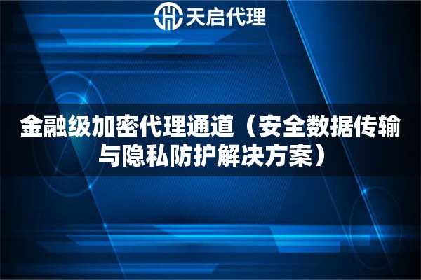 金融級加密代理通道（安全數(shù)據(jù)傳輸與隱私防護(hù)解決方案）