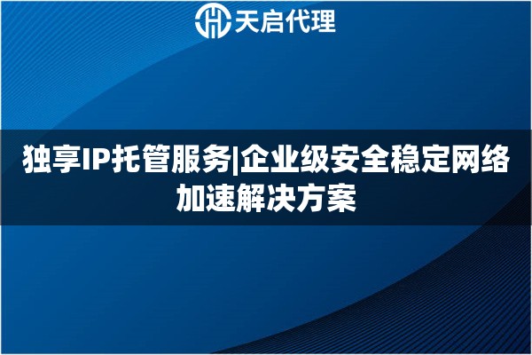 獨享IP托管服務|企業級安全穩定網絡加速解決方案