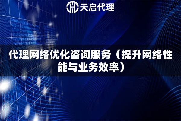 代理網絡優化咨詢服務（提升網絡性能與業務效率）