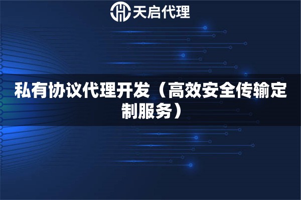 私有協議代理開發（高效安全傳輸定制服務）