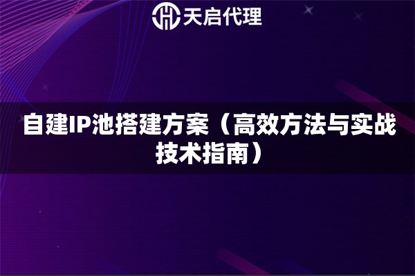 自建IP池搭建方案（高效方法與實戰技術指南）