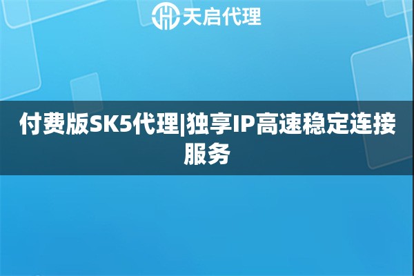 付費版SK5代理|獨享IP高速穩定連接服務