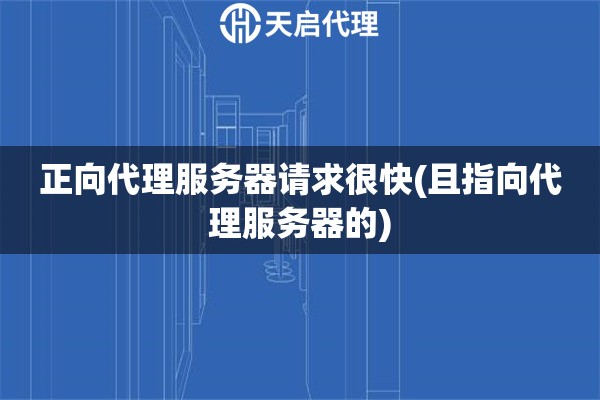 正向代理服務(wù)器請求很快(且指向代理服務(wù)器的)