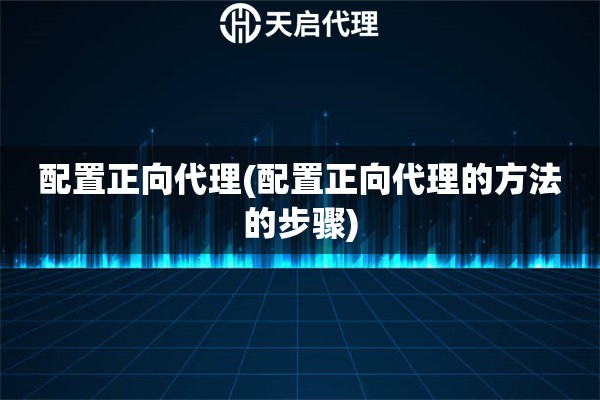 配置正向代理(配置正向代理的方法的步驟)